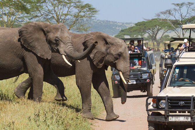 1 Day Tarangire National Park Private Safari - Overview of Tarangire National Park