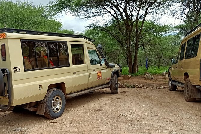 1-Day Tarangire National Park Tour - Pickup Details