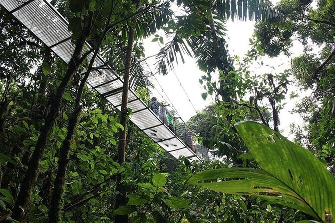 1 Full Private Tour To Arenal Volcano + Baldi Hot Springs