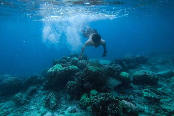 1-Hour Adventure Banana, Quatro and Butterfly in Sharm El-Sheikh - Tour Details