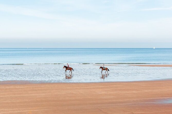 1 Hour of Horse Riding Experience by the Sea in Sharm El-Sheikh - Experience Details