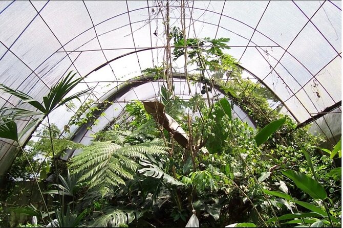1 Hour Private Butterfly Conservatory Tour in Costa Rica