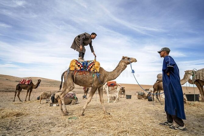 1 Hour Riding Camel in Palmeraie Marrakech, Ride Camel in Palmeraie Marrakech - Inclusions