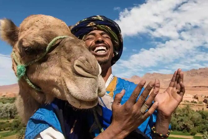 1 Hour Shared Camel Ride in Palmeraie - Activity Overview
