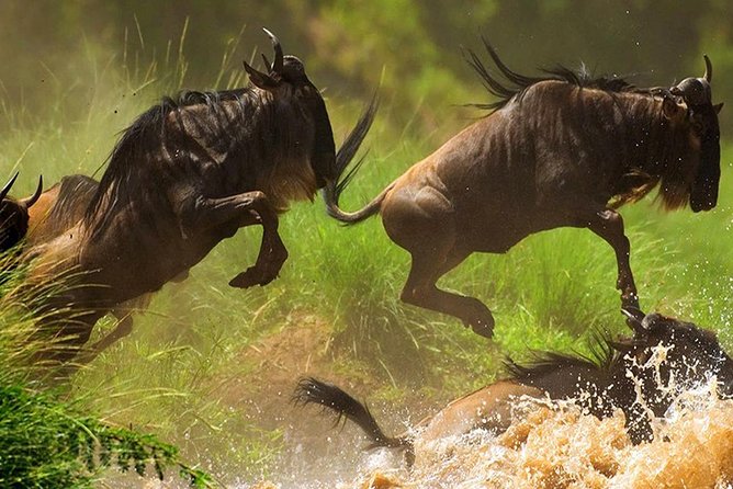 10 Days Africa Photographic Safaris Package