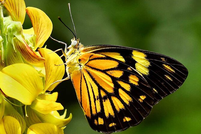 10 Days All Inclusive Tour Exploring Natural Beauty of Sri Lanka - Accommodation Details