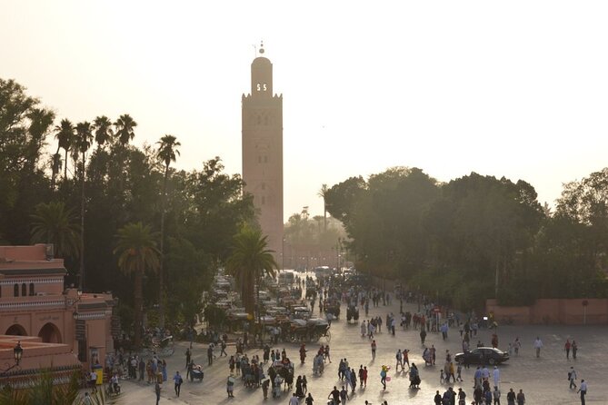 10 Days in Morocco : Southern Morocco Nature, Morocco Coast