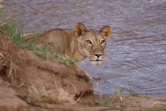 10 Days Kenya Photographic Safari Package - Accommodation Details