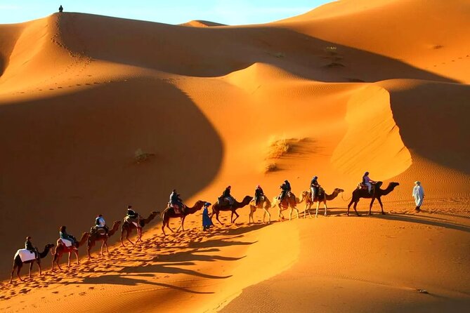 10 Days of Desert Beauty From Marrakech