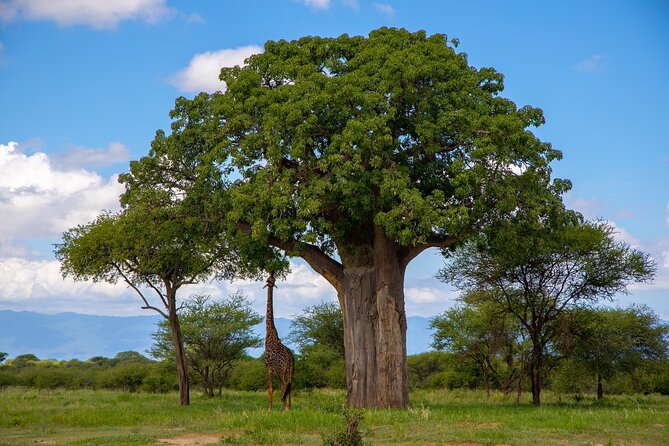 11-Day Private Lake Hopping Tour in Safari - Tour Overview