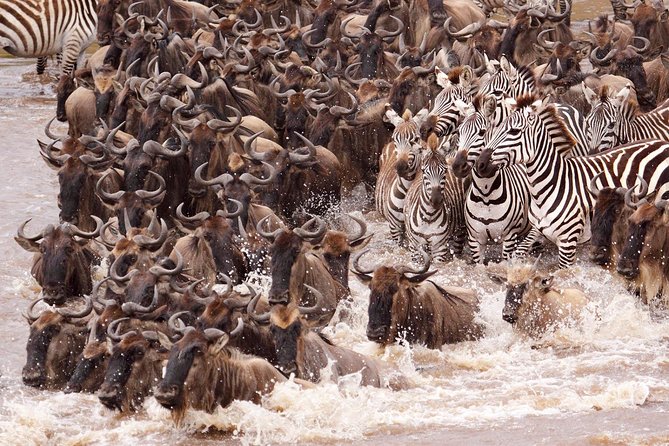 11 Days / 10 Nights Join Group Safari
