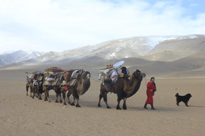 11 Days Camel Caravan of South Gobi