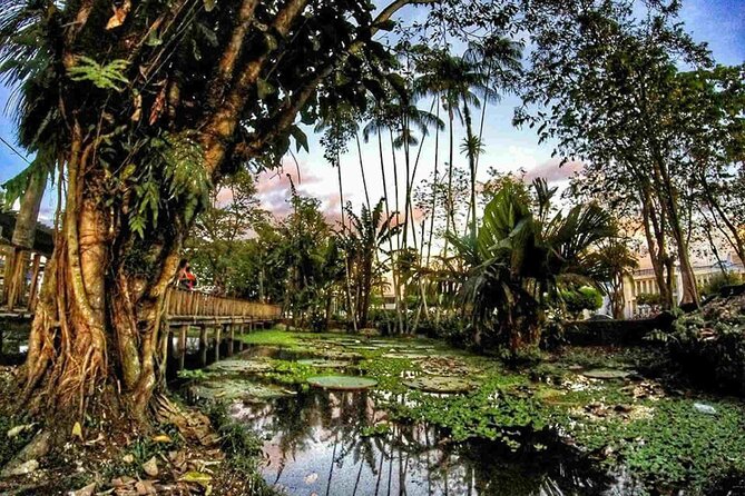 11 Days Explore the Nature & Culture of Colombia