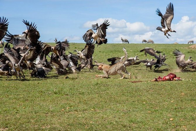 11 Days Kenya Photographic Safari - Cancellation Policy Information