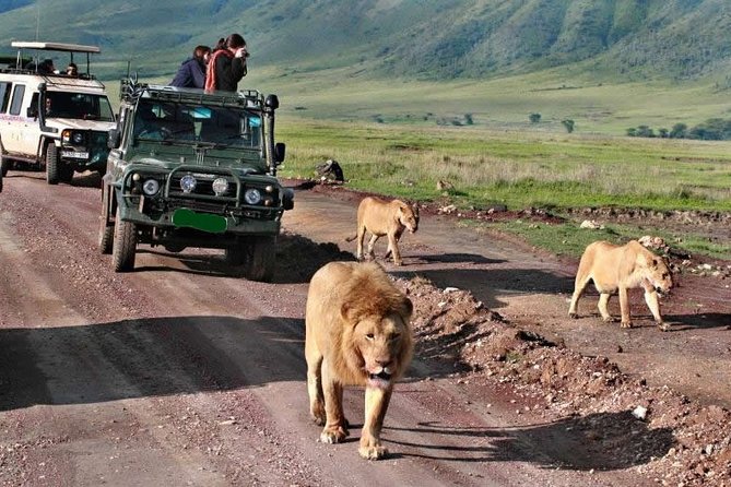 12-DAY Best Kenya and Tanzania Budget Safari From Nairobi