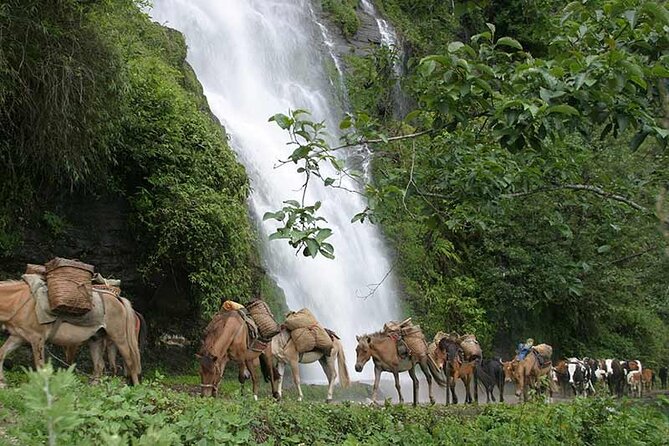 12 Days Jomolhari Trekking & Mountain Festival Tour in Bhutan - Itinerary Highlights