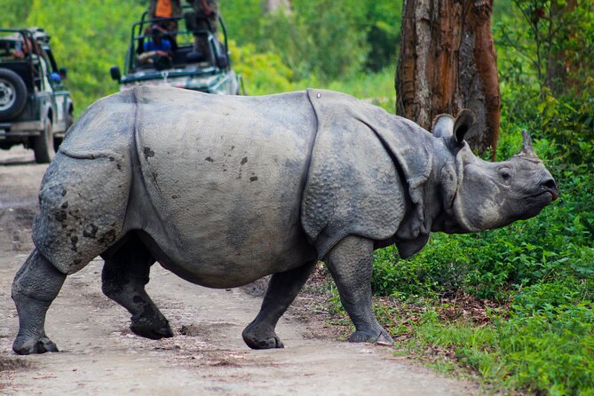 12 Days Private Wildlife Tours in India - Tour Highlights