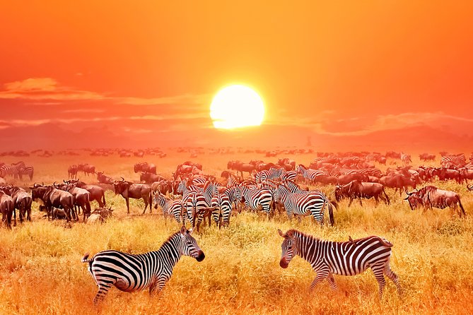 12 Days Safari Adventure and Zanzibar Beach Holiday. - Safari Itinerary Overview