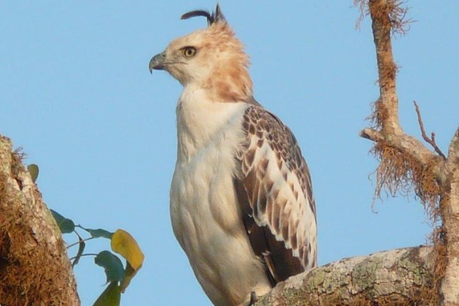 12 Nights Wild Life & Nature Tour - Accommodation Information