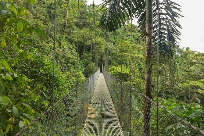 13 Days Essential Costa Rica With Extension to Guanacaste, Tamarindo & San Jose - Accommodation Details