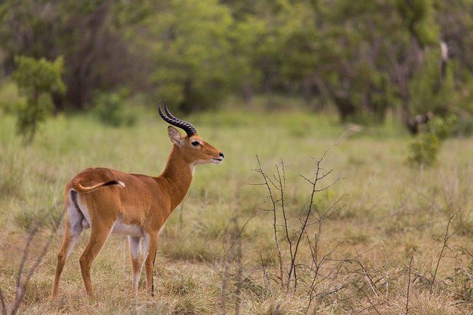 14 Days Kenya And Tanzania Budget Safari