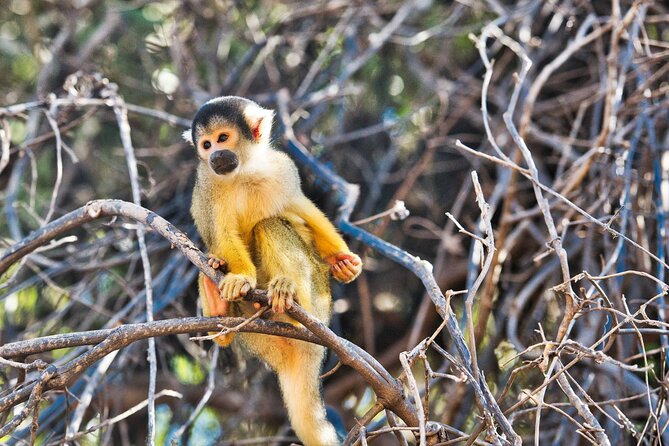 15-Day Bolivia Sightseeing Tour From La Paz