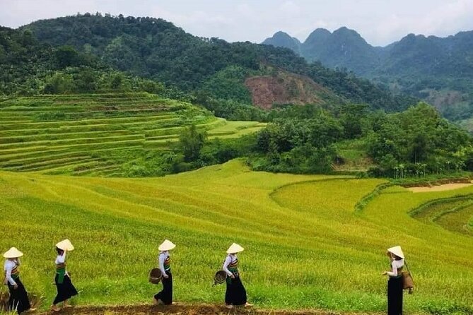 15-Day Vietnam Itinerary All in One | Travel Package 2024-2025 - Accommodation Details