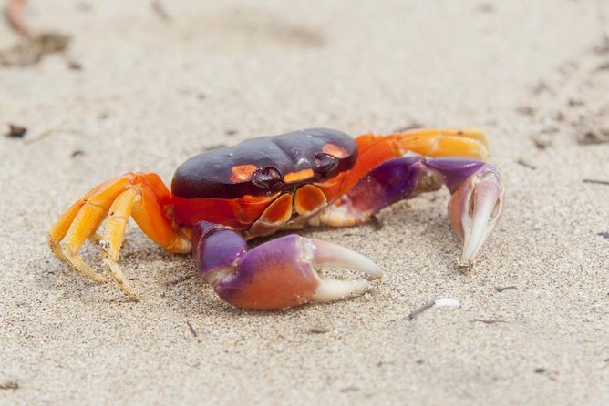 15 Days Beaches and Nature With Santa Teresa, Self-Drive From Liberia