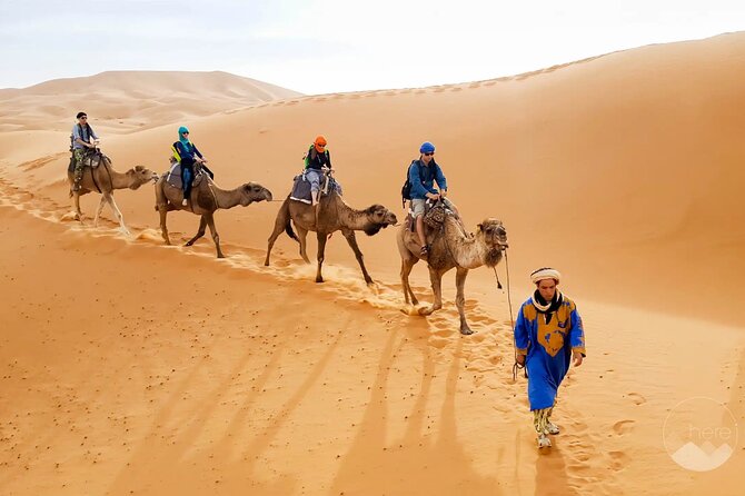 15 Days Morocco Desert Crossing From Marrakech - Tour Itinerary