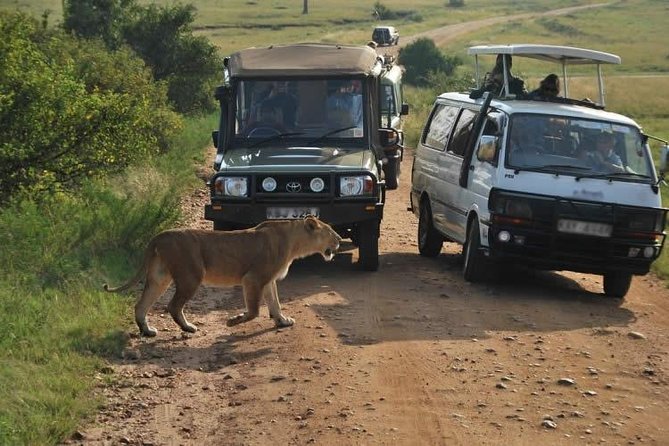 16 Day Great Adventure Kenya – Tanzania Clasic Safari (MINIMUM 2 PAX)