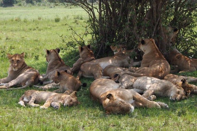 16 Days Kenya Tanzania Uganda Safari - Inclusions and Exclusions