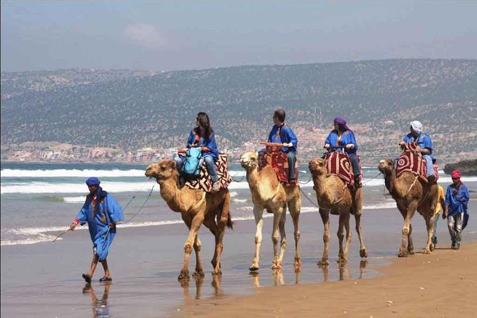2 Activity in Some Day in Agadir Camel Ride & City Tour Agadir - Tour Highlights