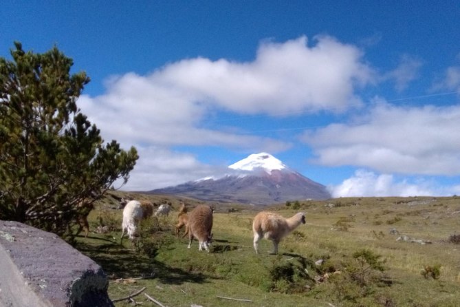 2 Day Chimborazo the Closest Point to the Sun + Active Cotopaxi - Itinerary Overview