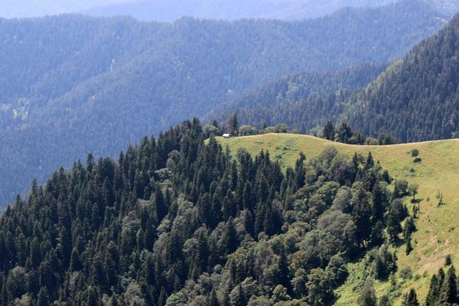 2-Day Hike in Borjomi-Kharagauli National Park - Itinerary Details