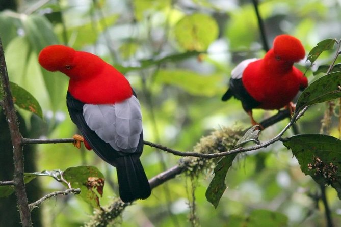 2-Day Private Personalized Tour: Mindo Cloud Forest - Itinerary Customization