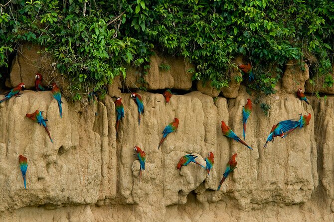 2 Day Private Tour in Tambopata Amazon