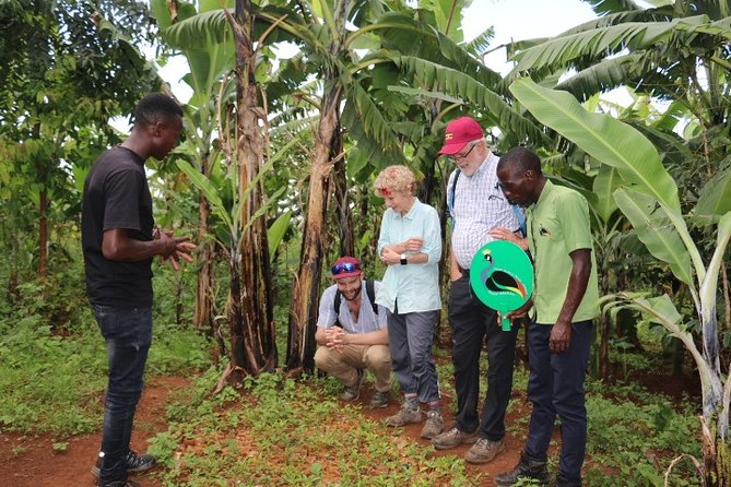 2-Day Sipi Falls Adventure in Uganda - Activities Included in the Trip