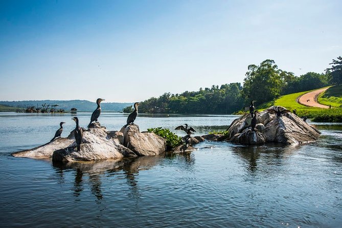 2-Day Tour to The Source of Nile River in Uganda
