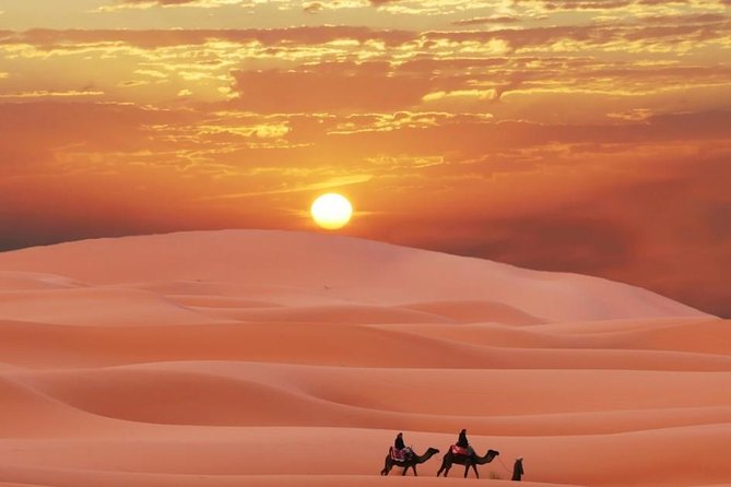  2-Day Visit to the Zagora Desert - Tour Details