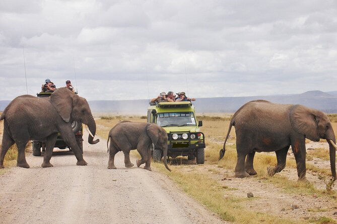 2 Days Aberdare National Park Luxury Lodge Safari - Lodge Accommodation