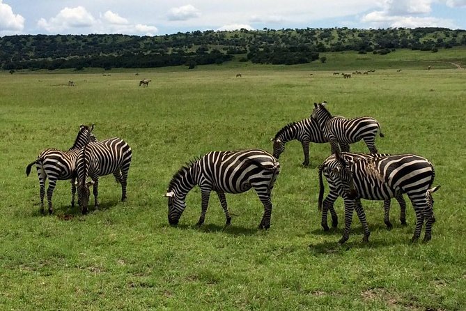 2 Days Akagera National Park Safari - Itinerary Highlights