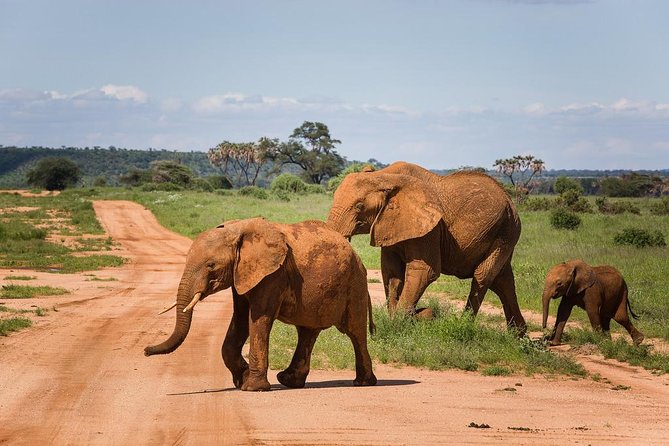 2 Days Amboseli National Park