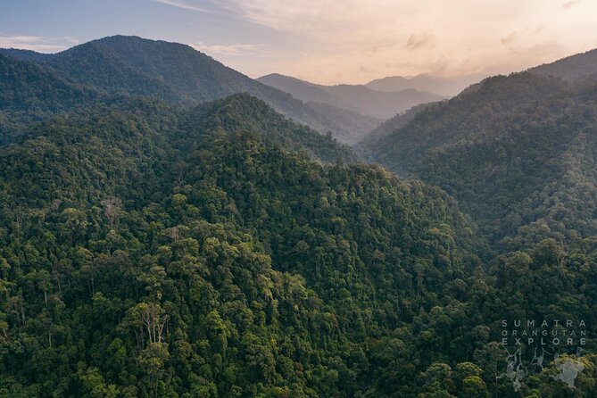 2 Days and 1 Night Ethical Jungle Trek - Meeting and Pickup Details