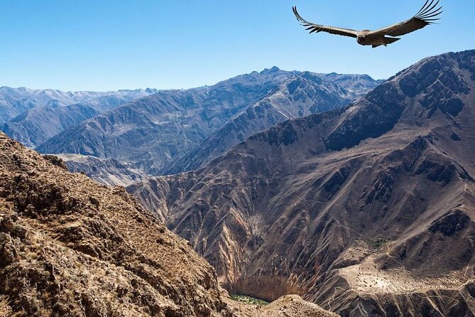 2 Days and 1 Night Tour in the Colca Canyon - Tour Overview