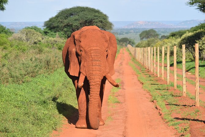 2-Days Guided Tour in Tsavo East - Tour Itinerary
