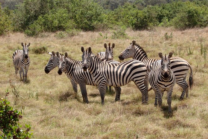 2 Days Lake Mburo Safaris