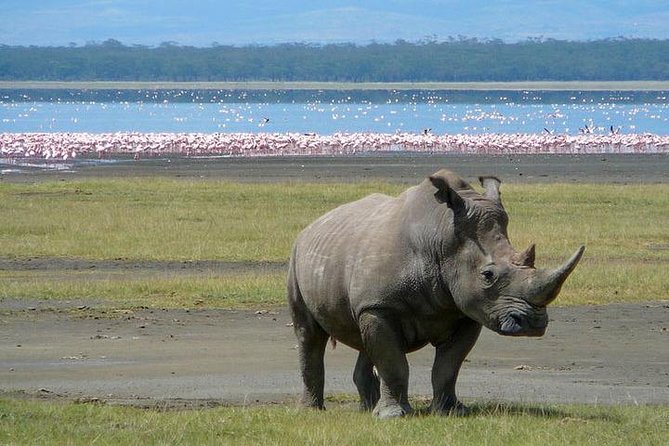 2 Days Lake Naivasha-Hells Gate-Lake Nakuru Tour From Nairobi