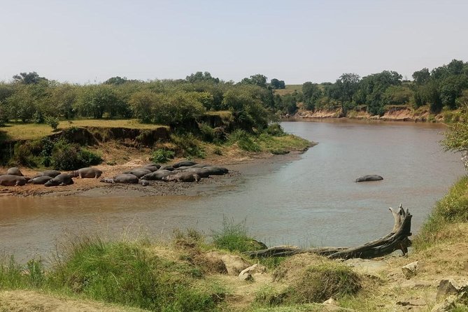 2 Days Maasai Mara Joining Safari - Safari Highlights