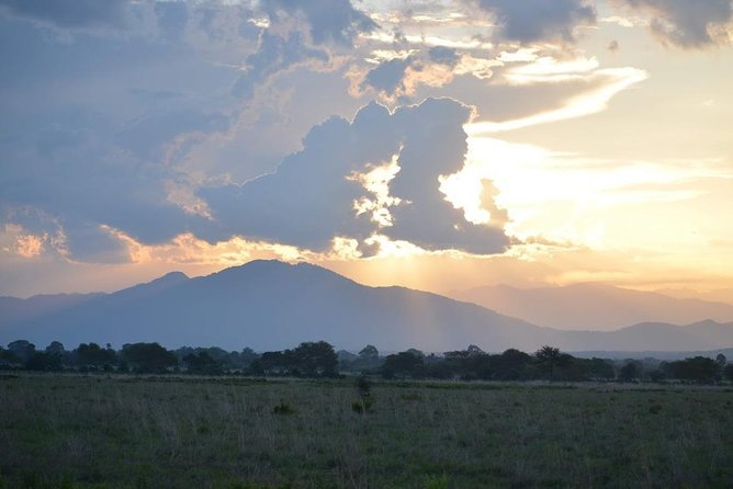 2 Days Mikumi and Udzungwa Falls National Parks From Ifakara Tanzania - Itinerary Highlights