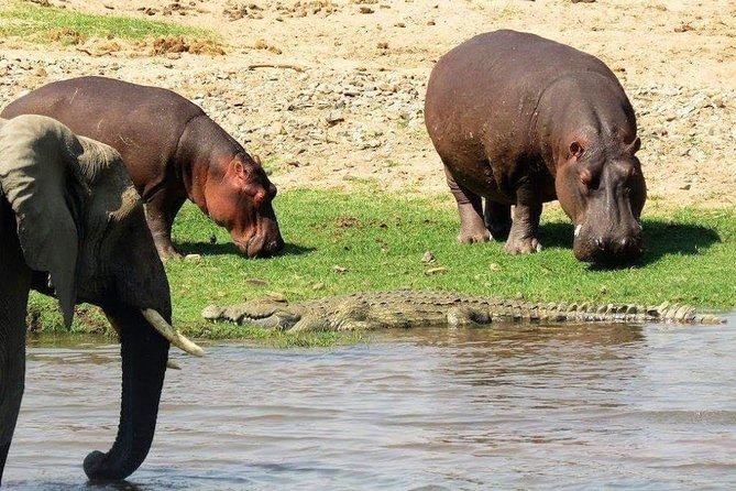 2 Days Mikumi National Park From Morogoro - Overview of Mikumi National Park